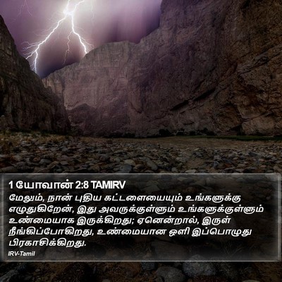 1 யோவான் 2:8 TAMIRV Bible Verse Image