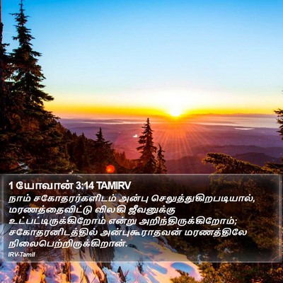 1 யோவான் 3:14 TAMIRV Bible Verse Image