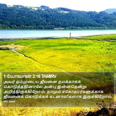1 யோவான் 3:16 TAMIRV Bible Verse Image