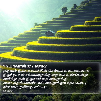1 யோவான் 3:17 TAMIRV Bible Verse Image