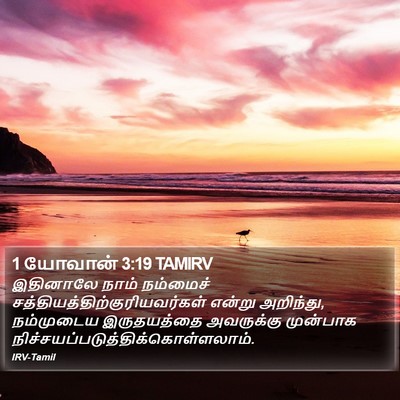 1 யோவான் 3:19 TAMIRV Bible Verse Image