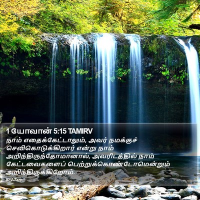 1 யோவான் 5:15 TAMIRV Bible Verse Image