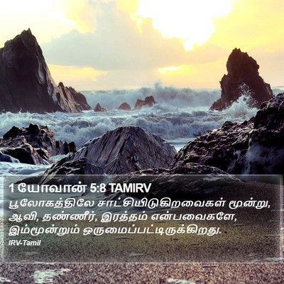 1 யோவான் 5:8 TAMIRV Bible Verse Image