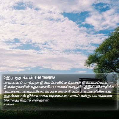 2 இராஜாக்கள் 1:16 TAMIRV Bible Verse Image