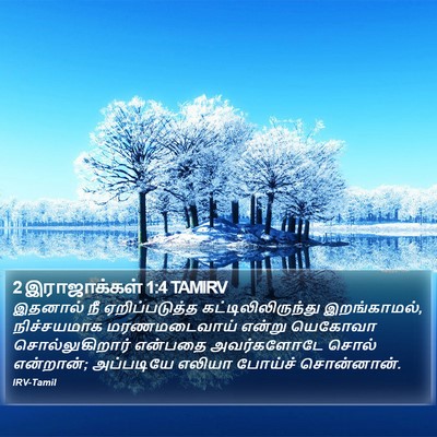 2 இராஜாக்கள் 1:4 TAMIRV Bible Verse Image