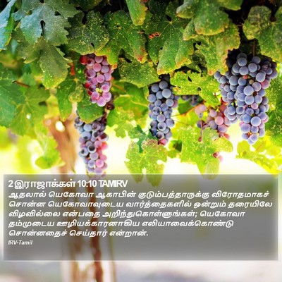 2 இராஜாக்கள் 10:10 TAMIRV Bible Verse Image