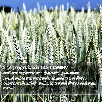 2 இராஜாக்கள் 13:20 TAMIRV Bible Verse Image