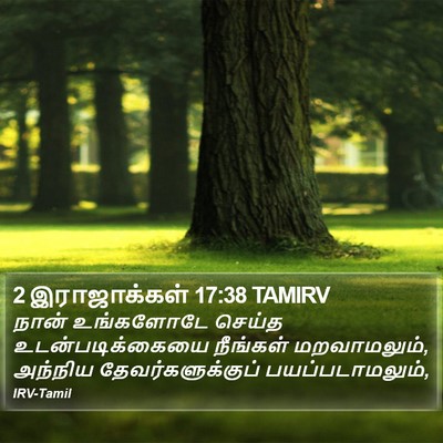 2 இராஜாக்கள் 17:38 TAMIRV Bible Verse Image