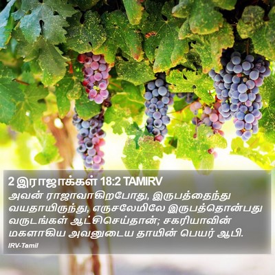 2 இராஜாக்கள் 18:2 TAMIRV Bible Verse Image
