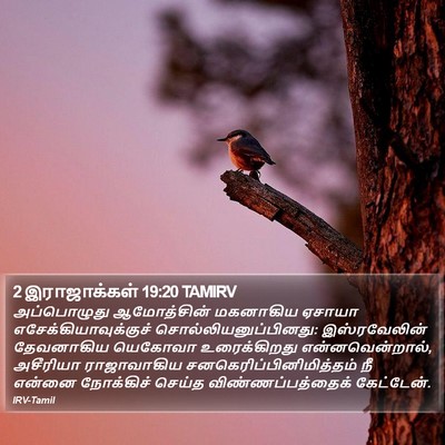 2 இராஜாக்கள் 19:20 TAMIRV Bible Verse Image