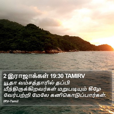 2 இராஜாக்கள் 19:30 TAMIRV Bible Verse Image