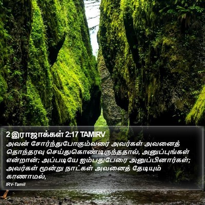 2 இராஜாக்கள் 2:17 TAMIRV Bible Verse Image