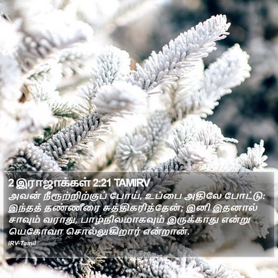 2 இராஜாக்கள் 2:21 TAMIRV Bible Verse Image