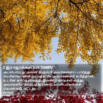 2 இராஜாக்கள் 2:24 TAMIRV Bible Verse Image