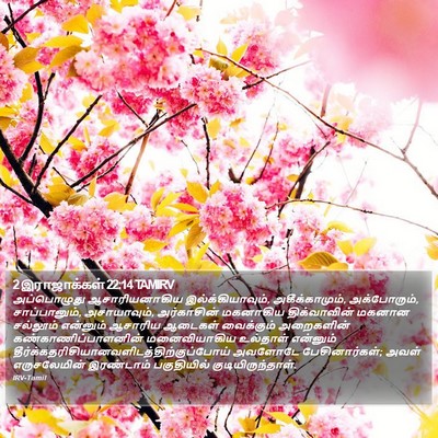 2 இராஜாக்கள் 22:14 TAMIRV Bible Verse Image