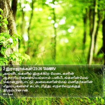 2 இராஜாக்கள் 23:20 TAMIRV Bible Verse Image