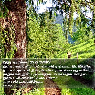 2 இராஜாக்கள் 23:22 TAMIRV Bible Verse Image