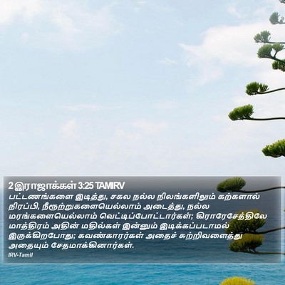 2 இராஜாக்கள் 3:25 TAMIRV Bible Verse Image