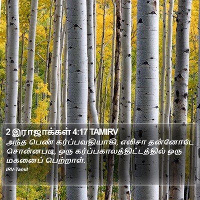 2 இராஜாக்கள் 4:17 TAMIRV Bible Verse Image