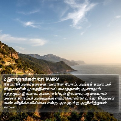 2 இராஜாக்கள் 4:31 TAMIRV Bible Verse Image