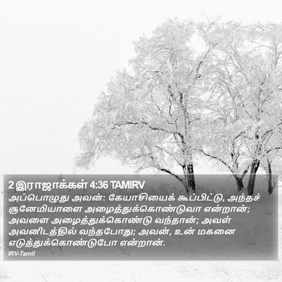 2 இராஜாக்கள் 4:36 TAMIRV Bible Verse Image