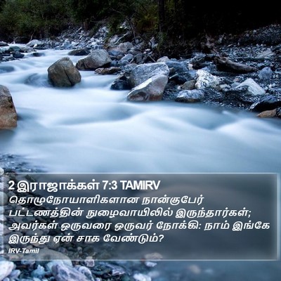 2 இராஜாக்கள் 7:3 TAMIRV Bible Verse Image