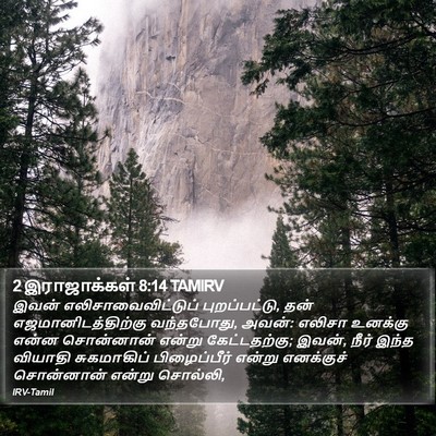 2 இராஜாக்கள் 8:14 TAMIRV Bible Verse Image