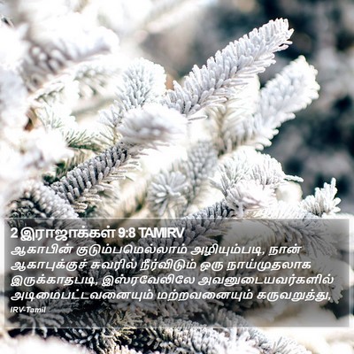 2 இராஜாக்கள் 9:8 TAMIRV Bible Verse Image
