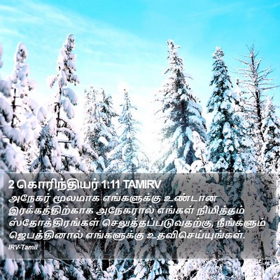 2 கொரிந்தியர் 1:11 TAMIRV Bible Verse Image