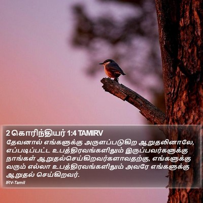 2 கொரிந்தியர் 1:4 TAMIRV Bible Verse Image