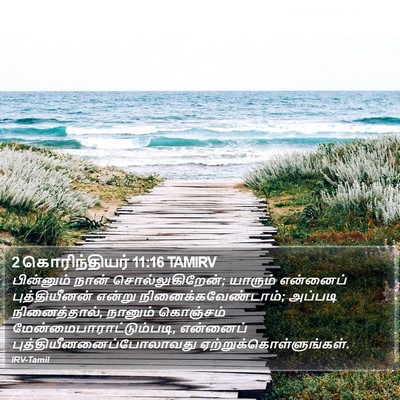 2 கொரிந்தியர் 11:16 TAMIRV Bible Verse Image