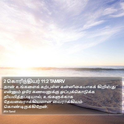 2 கொரிந்தியர் 11:2 TAMIRV Bible Verse Image