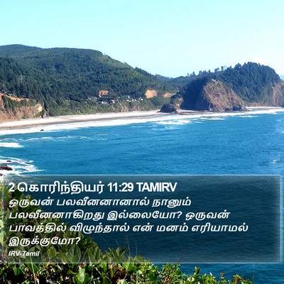 2 கொரிந்தியர் 11:29 TAMIRV Bible Verse Image