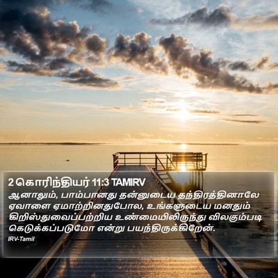 2 கொரிந்தியர் 11:3 TAMIRV Bible Verse Image