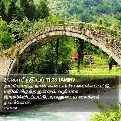 2 கொரிந்தியர் 11:33 TAMIRV Bible Verse Image