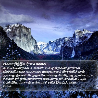 2 கொரிந்தியர் 11:4 TAMIRV Bible Verse Image