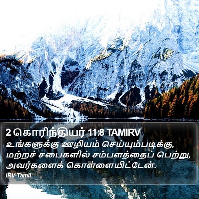 2 கொரிந்தியர் 11:8 TAMIRV Bible Verse Image
