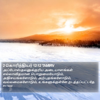 2 கொரிந்தியர் 12:12 TAMIRV Bible Verse Image