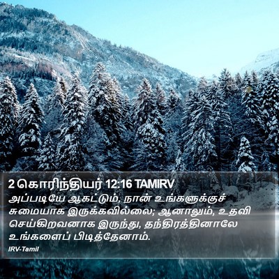 2 கொரிந்தியர் 12:16 TAMIRV Bible Verse Image