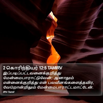 2 கொரிந்தியர் 12:5 TAMIRV Bible Verse Image