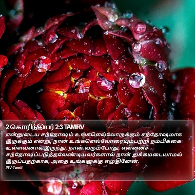 2 கொரிந்தியர் 2:3 TAMIRV Bible Verse Image
