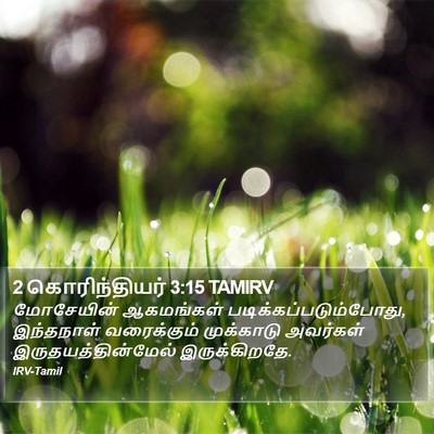 2 கொரிந்தியர் 3:15 TAMIRV Bible Verse Image