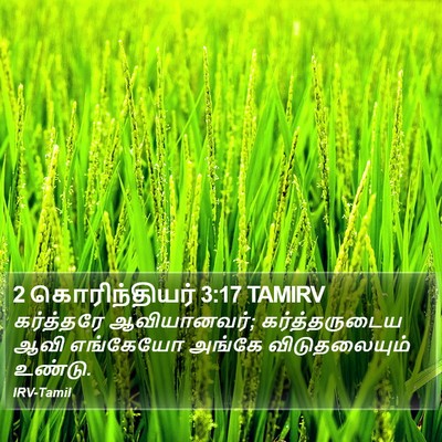 2 கொரிந்தியர் 3:17 TAMIRV Bible Verse Image