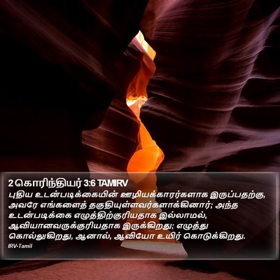 2 கொரிந்தியர் 3:6 TAMIRV Bible Verse Image
