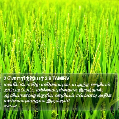 2 கொரிந்தியர் 3:8 TAMIRV Bible Verse Image