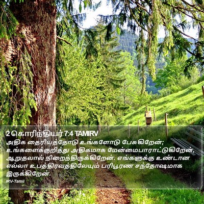 2 கொரிந்தியர் 7:4 TAMIRV Bible Verse Image
