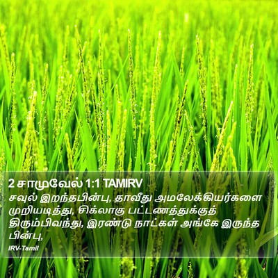 2 சாமுவேல் 1:1 TAMIRV Bible Verse Image