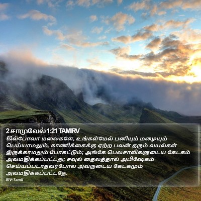 2 சாமுவேல் 1:21 TAMIRV Bible Verse Image