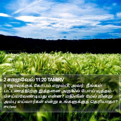 2 சாமுவேல் 11:20 TAMIRV Bible Verse Image