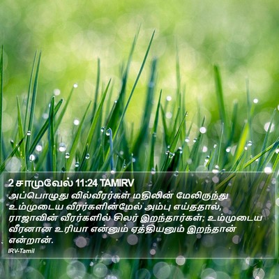2 சாமுவேல் 11:24 TAMIRV Bible Verse Image